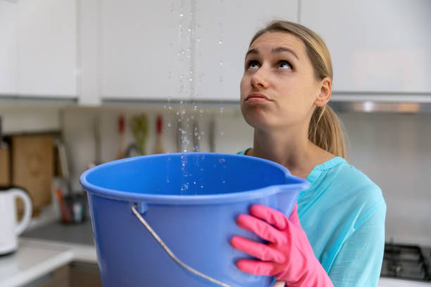 prevent leaks at home